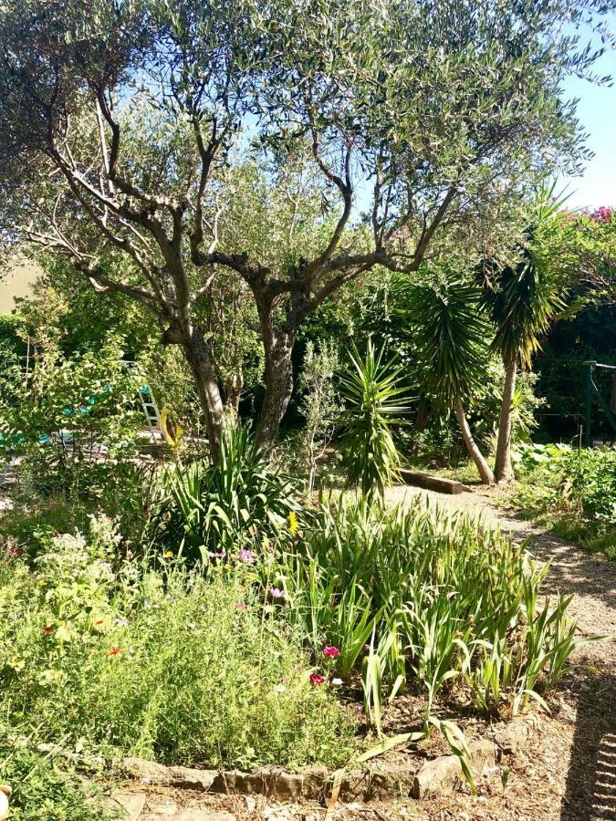 Apartament Les Pinsons La Ciotat Zewnętrze zdjęcie
